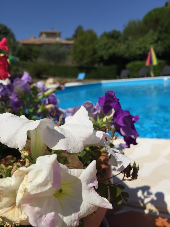 Poggio Paradiso Apartments Mengara Номер фото