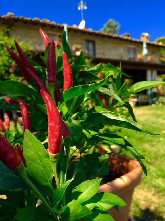 Poggio Paradiso Apartments Mengara Номер фото